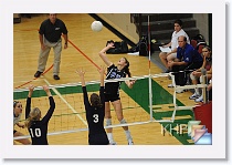 vs Manhattan * (336 Slides)